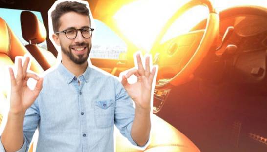 Как подготовить авто для людей с аллергией на пыльцу: полезные советы