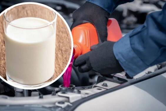 Залив молоко в радиатор: блогер провёл опасный эксперимент с автомобилем