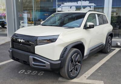 Названы лидеры по регистрации электромобилей в Украине и их бестселлеры