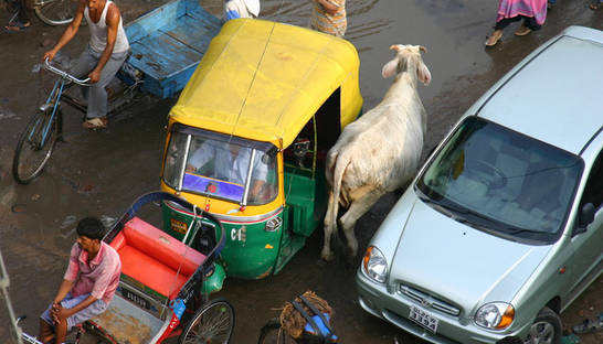 Индийские гаишники ловят нарушителей в Facebook