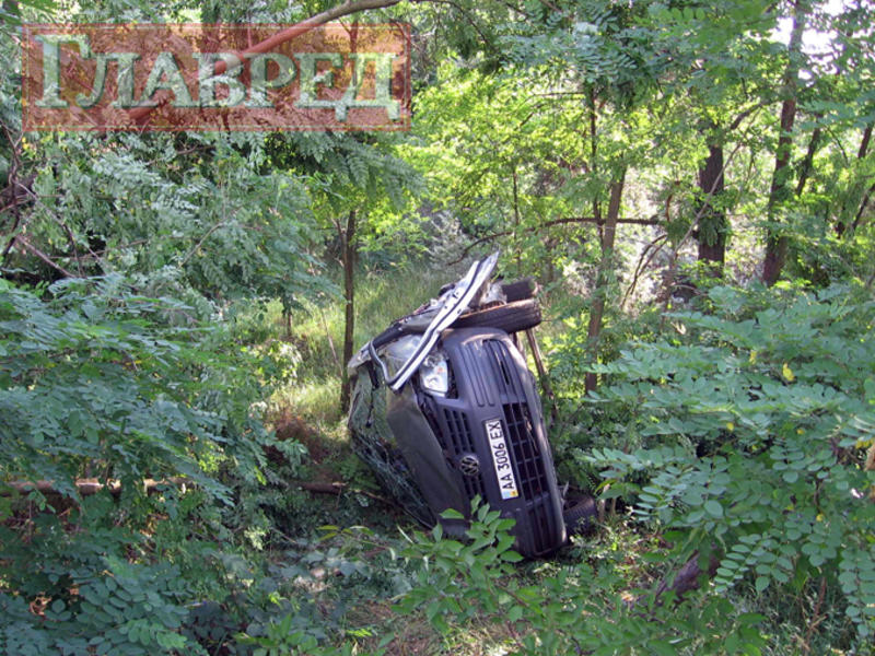 В Бортничах Volkswagen вылетел в лес – водитель погиб / glavred.info