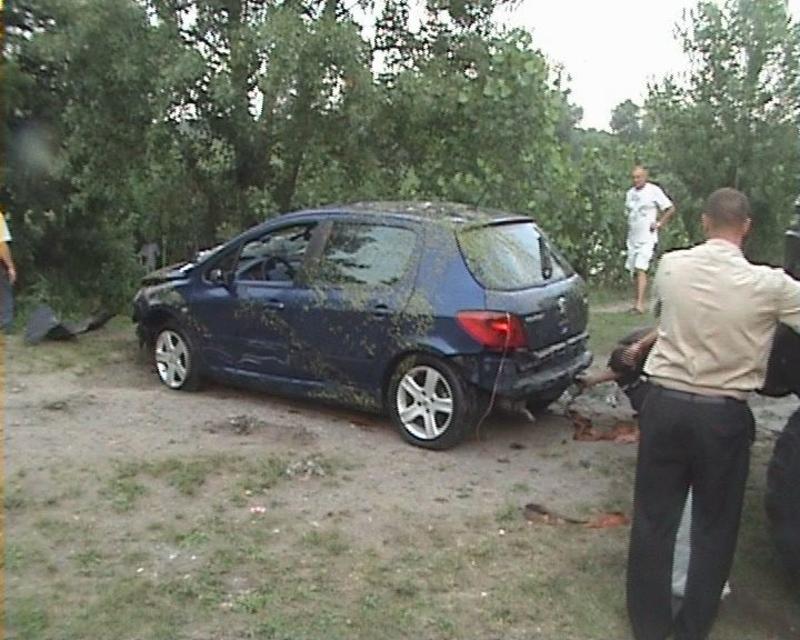 В Киеве женщина перепутала педали и утопила машину в озере / ck.mns.gov.ua