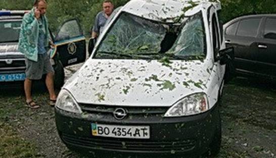 В Тернопольской области на трассе деревья атаковали машины