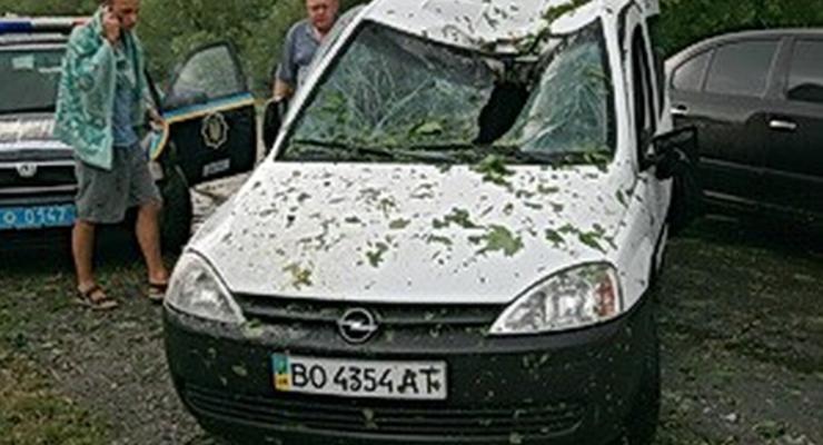 В Тернопольской области на трассе деревья атаковали машины
