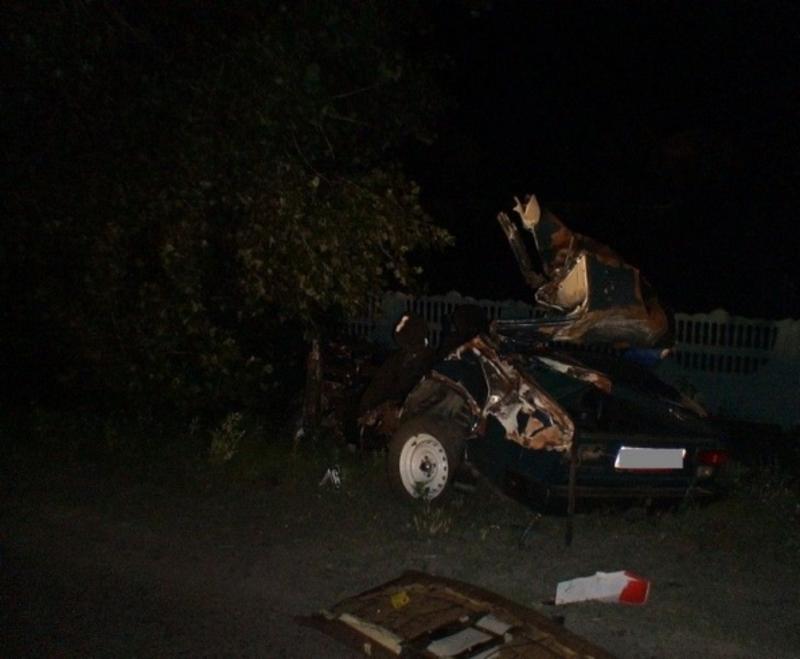 Автомобиль с детьми врезался в дерево – трое погибших / gazeta.ua