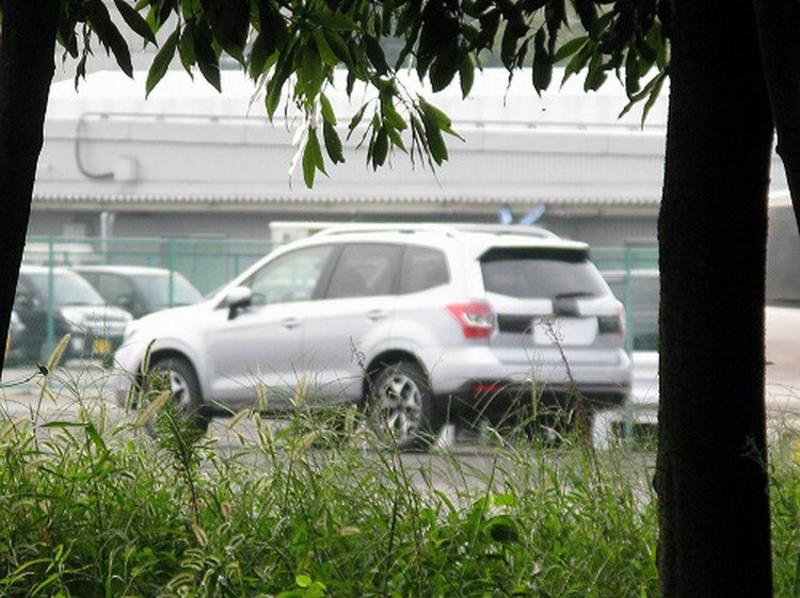 Subaru Forester нового поколения попался на камеру / carscoop.blogspot.com