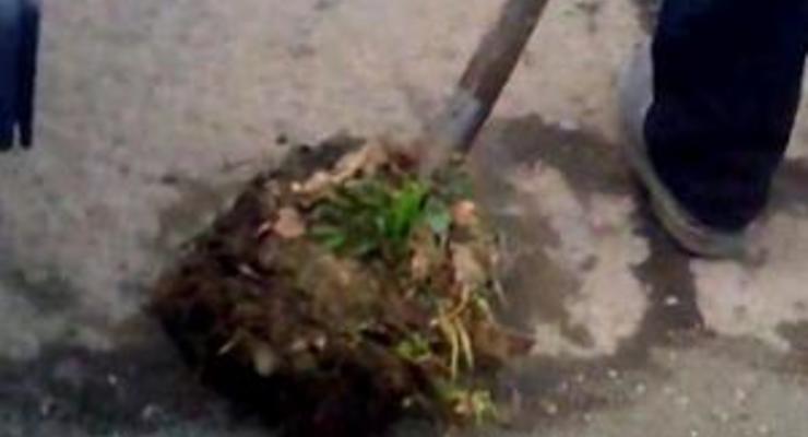 В Мукачево работники автодора засыпают ямы в асфальте землей с обочины
