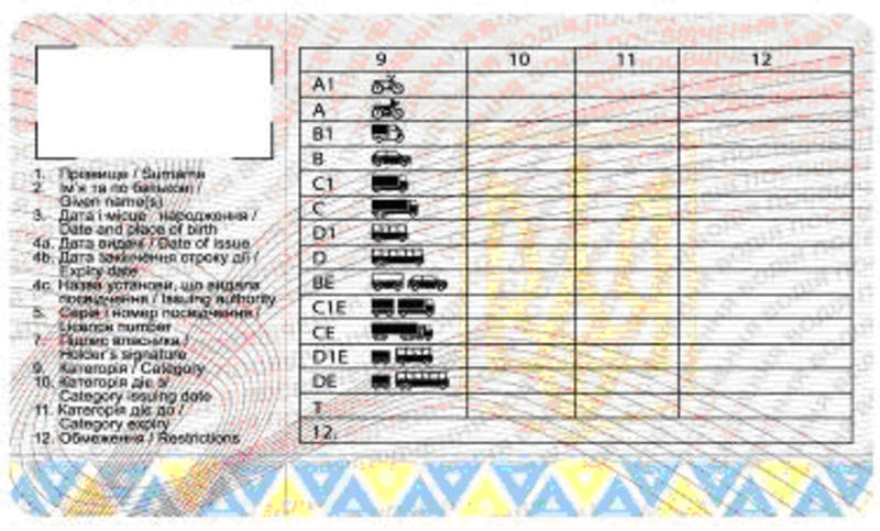Названа примерная цена на новые водительские права / sai.gov.ua