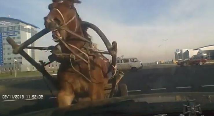 Белорусская колесница растоптала автомобиль (ВИДЕО)