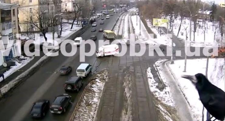 Камера засняла, как в Киеве ворона накаркала ДТП