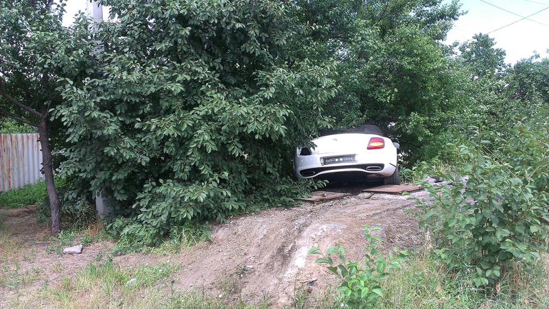 В Запорожье Bentley вылетел в кювет и протаранил дерево / reporter-ua.com