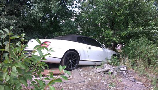 В Запорожье Bentley вылетел в кювет и протаранил дерево