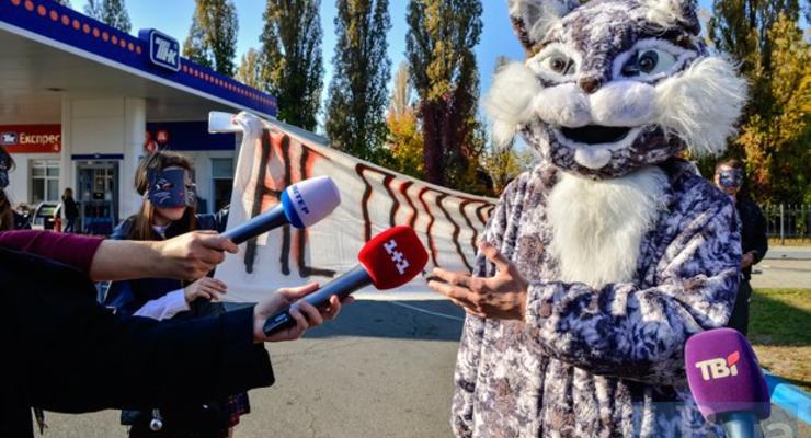 В Киеве «коты» призывали водителей не заправляться на российских АЗС