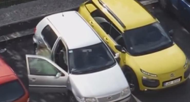 В Чехии девушка показала мастер-класс по худшей парковке в мире (видео)