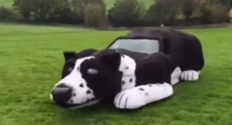 В Англии фермер построил собаку-автомобиль (видео)