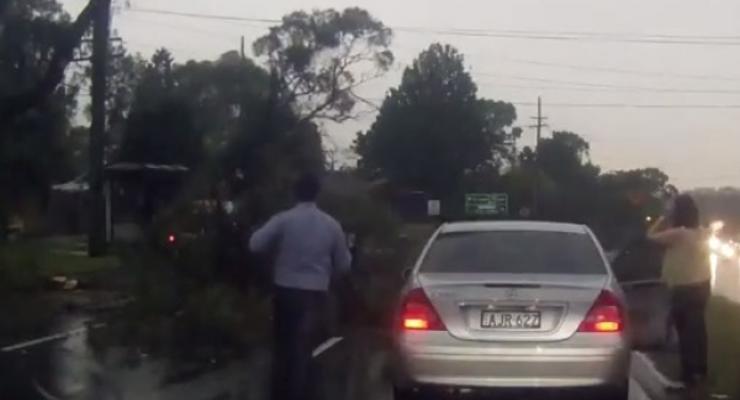 Редкая авария: молния "уронила" дерево на проезжавший автомобиль (видео)