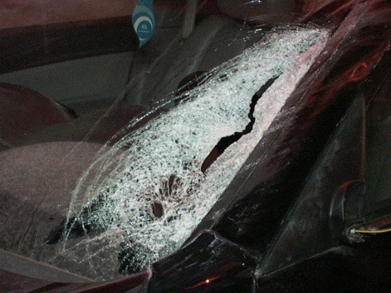 На Троещине водитель насмерть сбил женщину на переходе / lb.ua