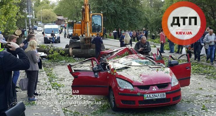 В Киеве дерево обрушило столб, погиб маленький ребенок (фото)