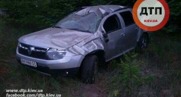 Под Киевом Renault сбил насмерть лося и несколько раз перевернулся (фото)