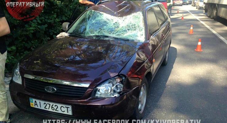 Лось стал причиной аварии в Киеве