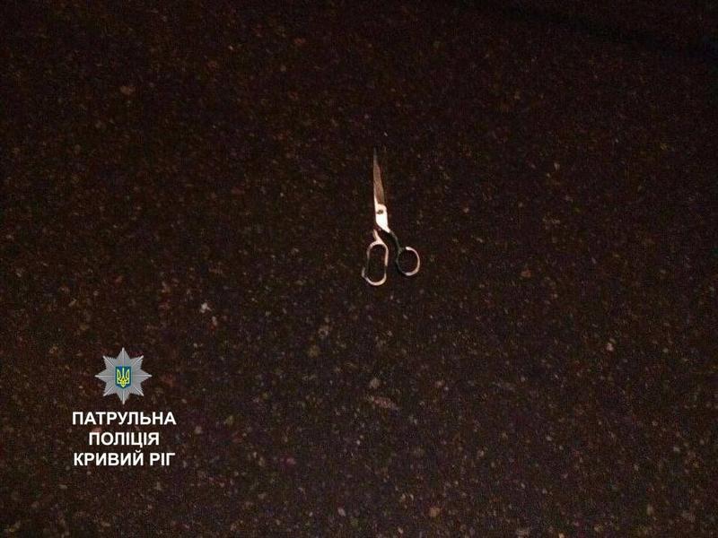 Неадекватный водитель набросился с ножницами на патрульных / npu.gov.ua