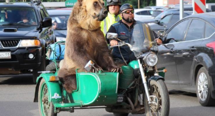 В России байкеры катались на мотоцикле с медведем