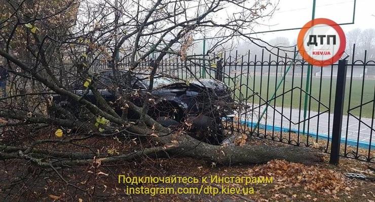 В Киеве пьяный водитель вылетел на тротуар и буквально снес дерево