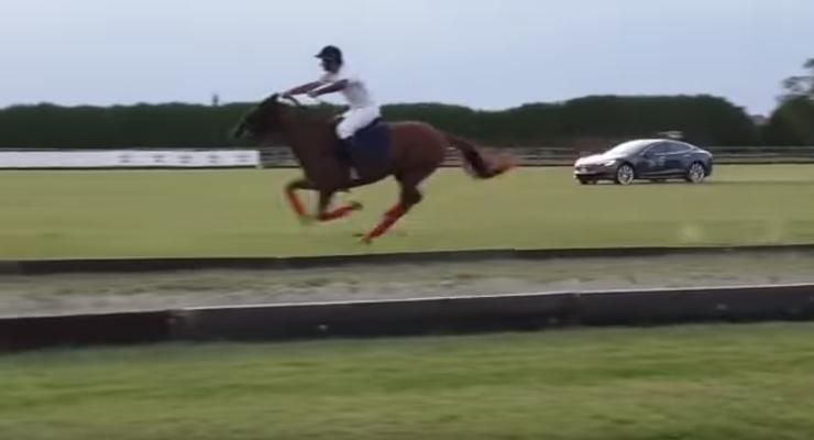 Невозможно: 800-сильная Tesla Model S проиграла гонку лошади для поло