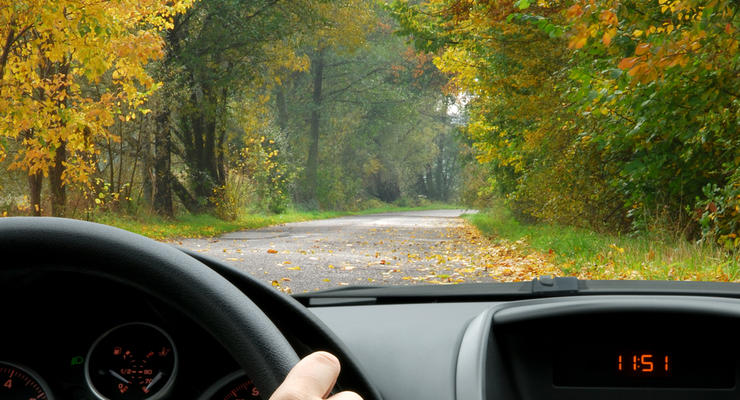 Как обезопасить себя на осенней дороге: правила для начинающих водителей