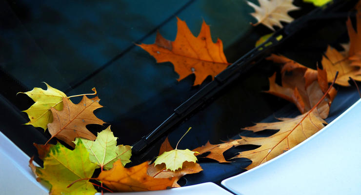Чем может навредить машине осенняя листва: главные угрозы для автомобиля
