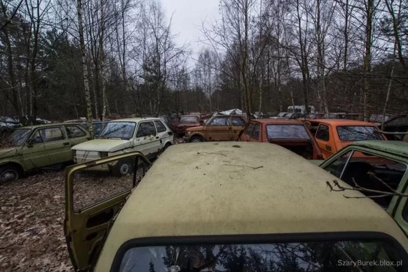 Под Варшавой нашли уникальную свалку старых советских авто: фото / Серый Бурек
