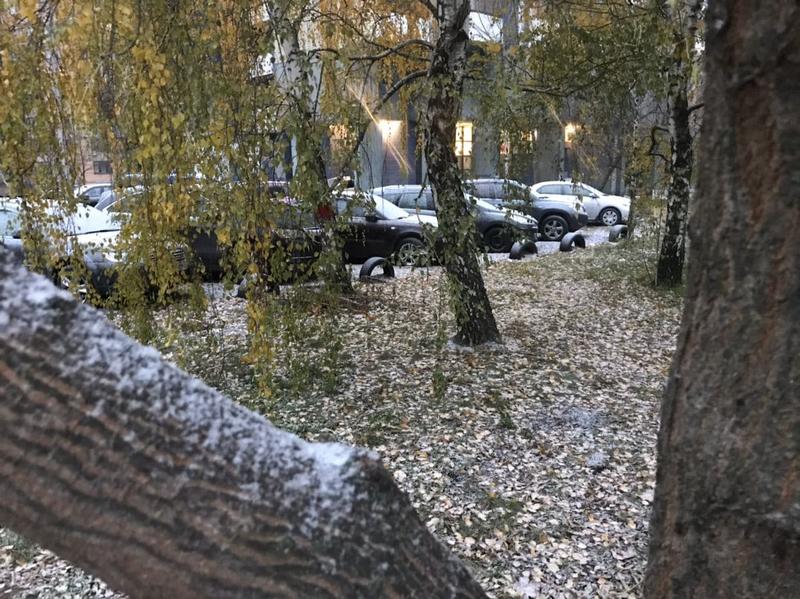 Первый снег в столице: что происходит на дорогах / 112 Украина