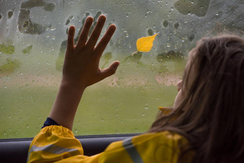 Почему потеют окна в авто: Причины и как убрать конденсат / depositphotos