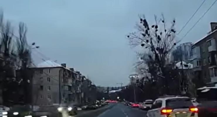 Мгновенная карма на украинских дорогах: подборка видео