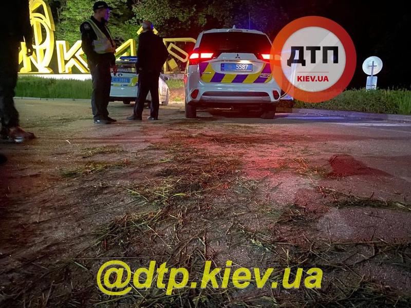 На Бориспольской трассе водитель Subaru уснул и протаранил надпись Киев / dtp.kiev.ua