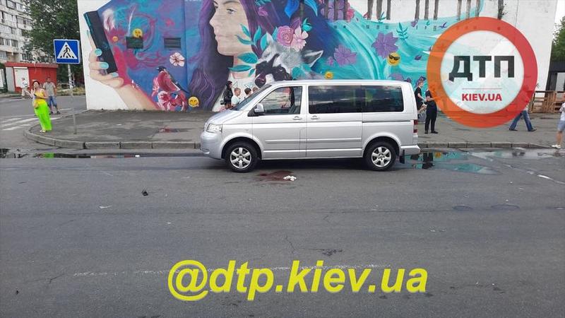 Черная Toyota сбила маму с ребенком на пешеходном переходе: видео / dtp.kiev.ua