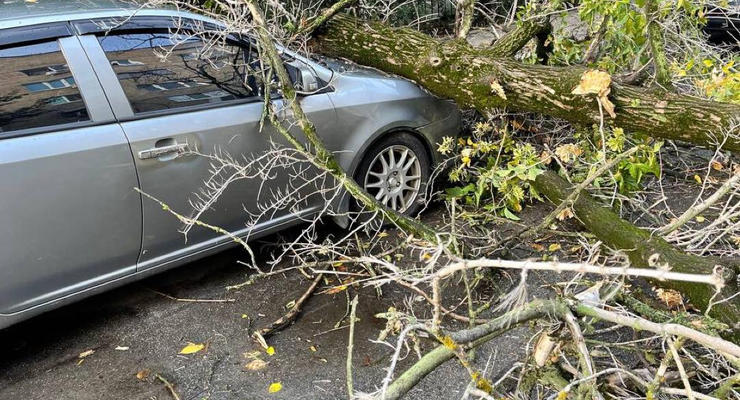 В Киеве автомобили завалило деревьями из-за дождя: фото