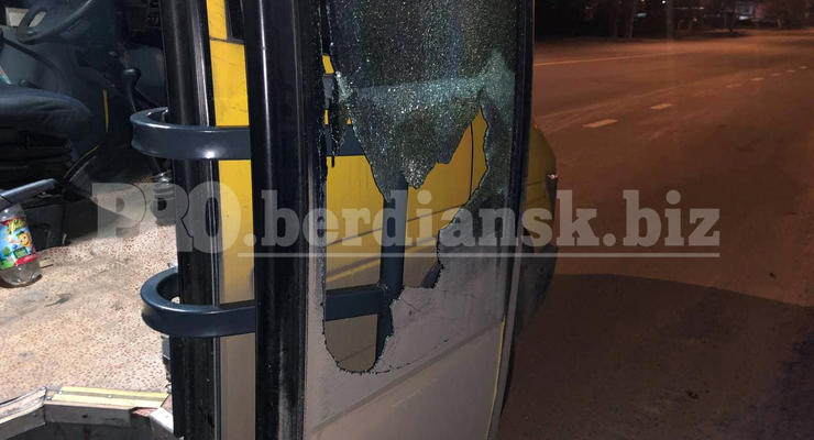 В Бердянске пассажир уснул и разбил головой стекло маршрутки: видео