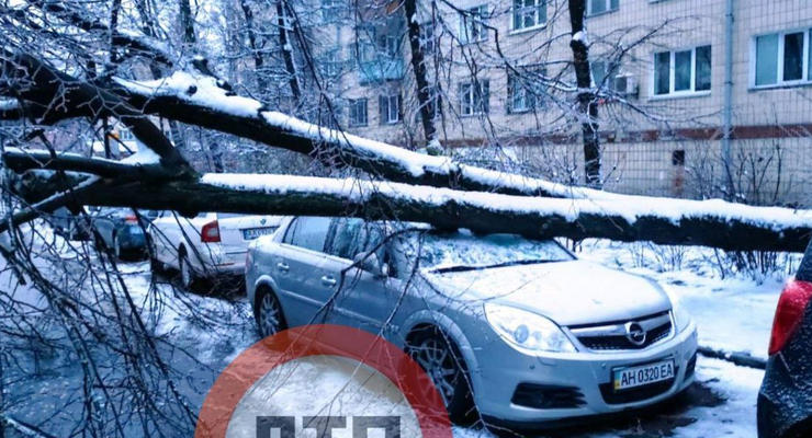 Падение обледеневших деревьев - водителей предупредили об опасности
