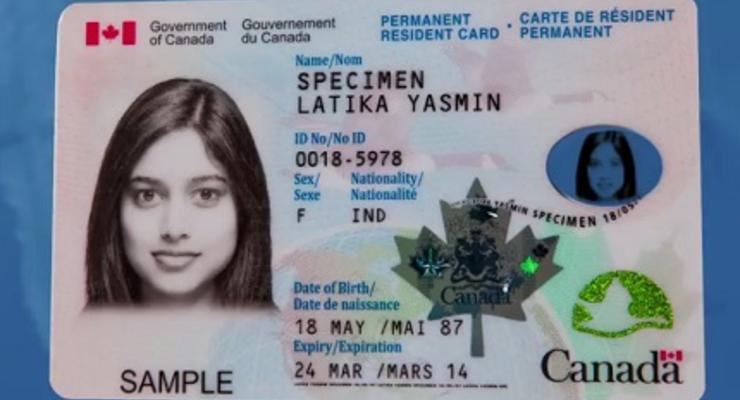 Украинцы теперь могут получить канадские водительские права через Дию
