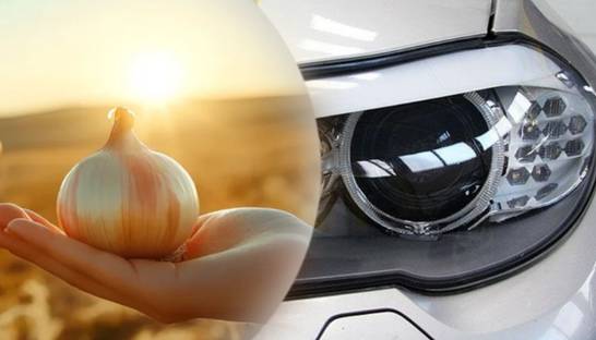 Как лук может стать спасителем на дороге: советы от опытных водителей
