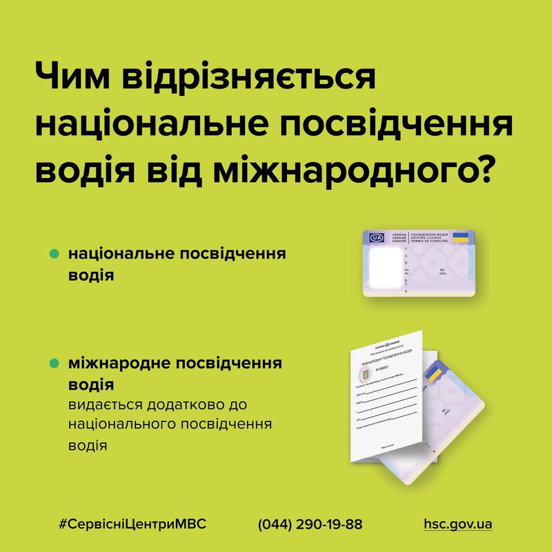 Відмінності національного посвідчення водія від міжнародного. / МВС Украины